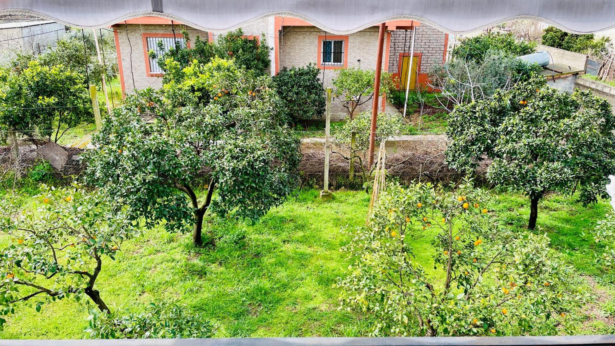 Mia Guest House - Entire Home With Balcony & Garden Divjake Exteriör bild